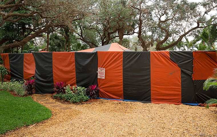 orange and gray fumigation tent